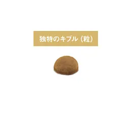 ロイヤルカナン インドア ロングヘアー 成猫用