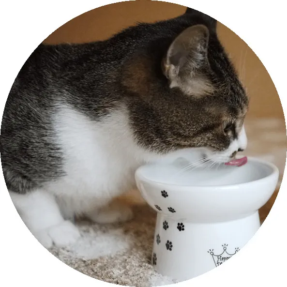 猫壱 ハッピーダイニング 脚付フードボウル カップケーキ