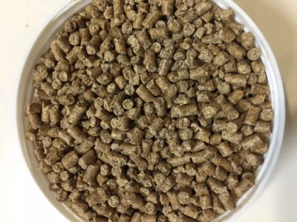 コメット 沈むエサ 1kg