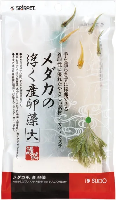 スドー メダカの浮く産卵藻