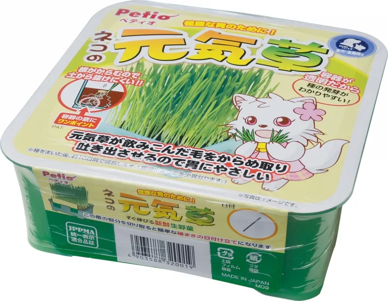 ペティオ ネコの元気草