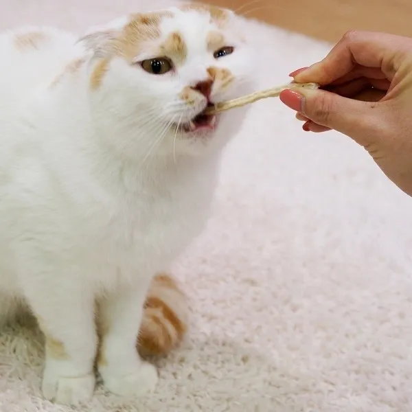 キャティーマン 猫ちゃんホワイデント かつお入り