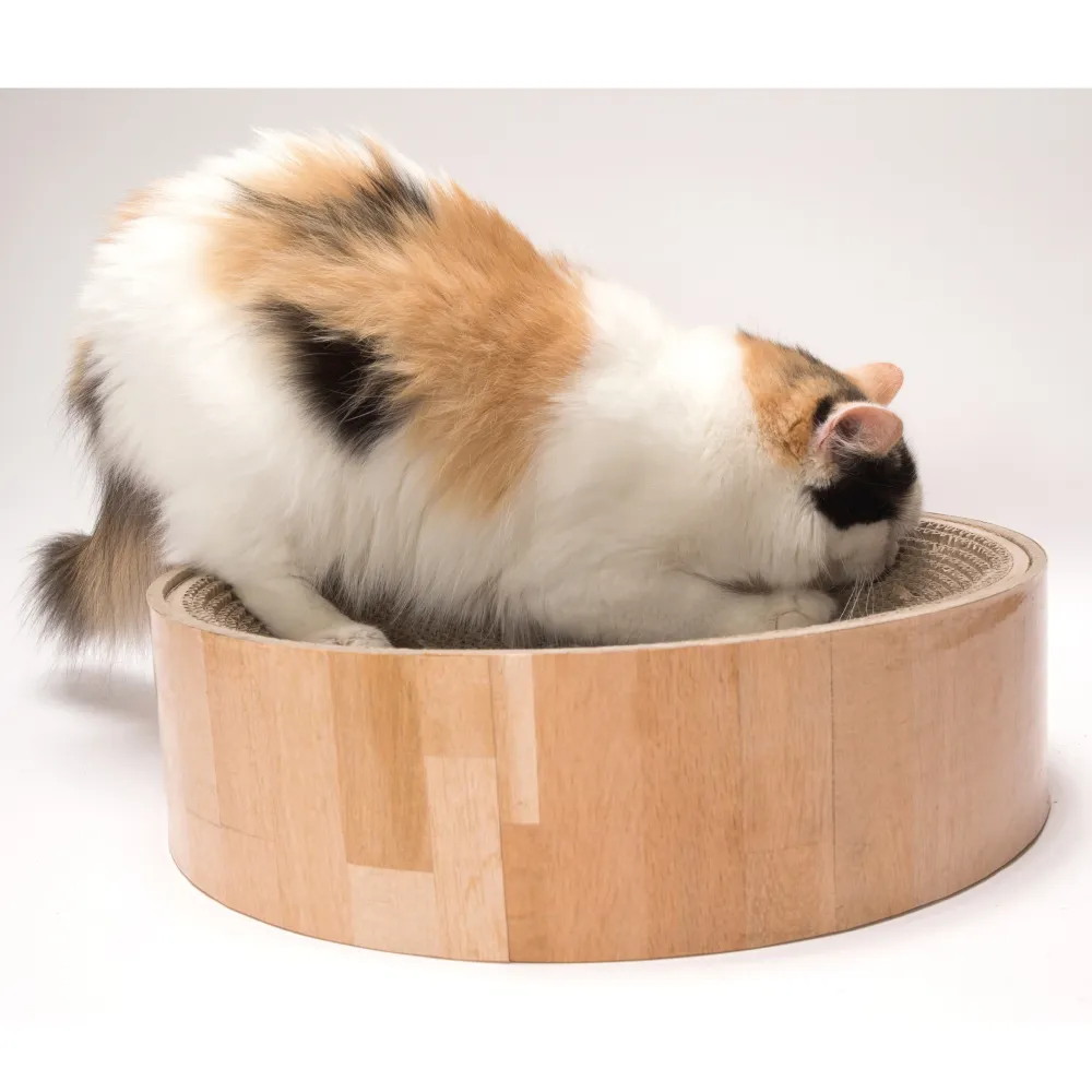 猫壱 バリバリボウル