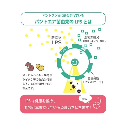 パントワンW 500ml