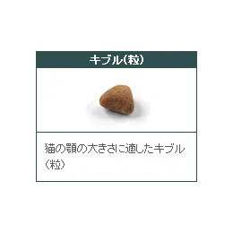 ロイヤルカナン インドア 成猫用