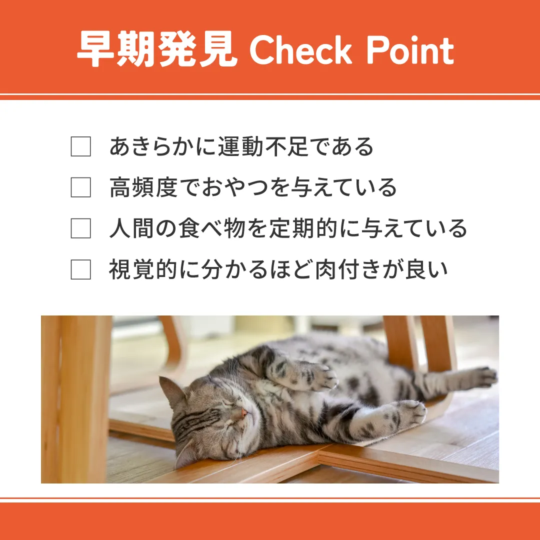 ベッツウェル 猫用食事療法食 肥満ケア