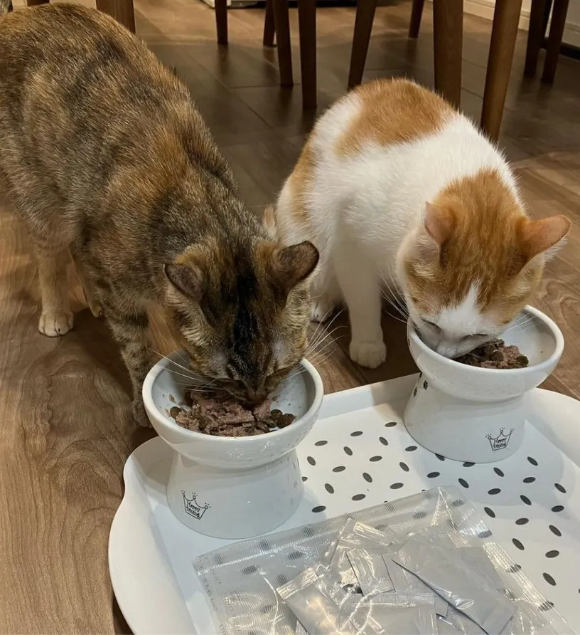 SILCAT 猫用ウェットフード マグロ