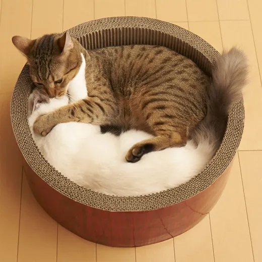 ガリガリサークル スクラッチャー