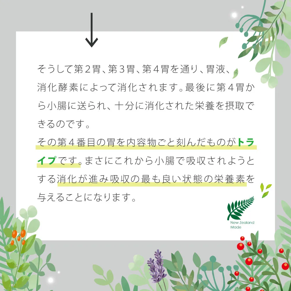 ニュートライプ ピュア グリーントライプ
