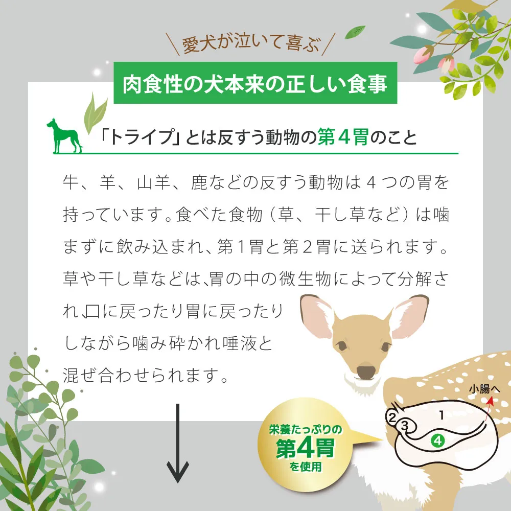 ニュートライプ ピュア グリーントライプ