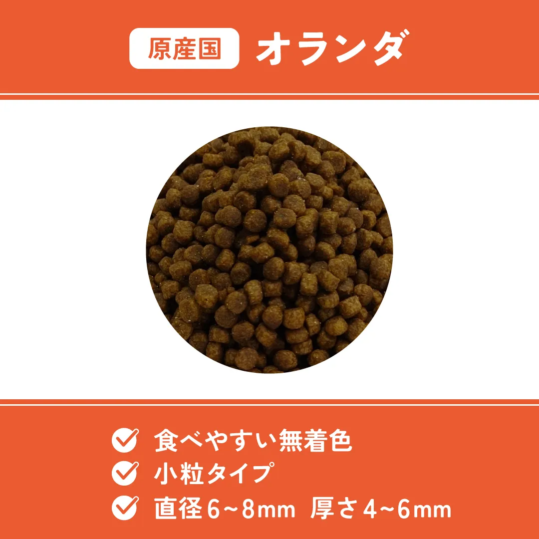 ベッツウェル 猫用食事療法食 下部尿路ケア