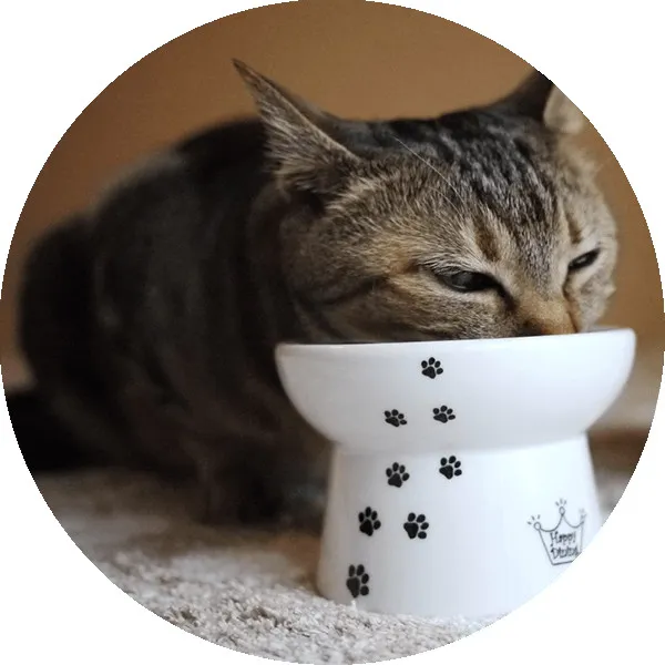 猫壱 ハッピーダイニング 脚付フードボウル カップケーキ
