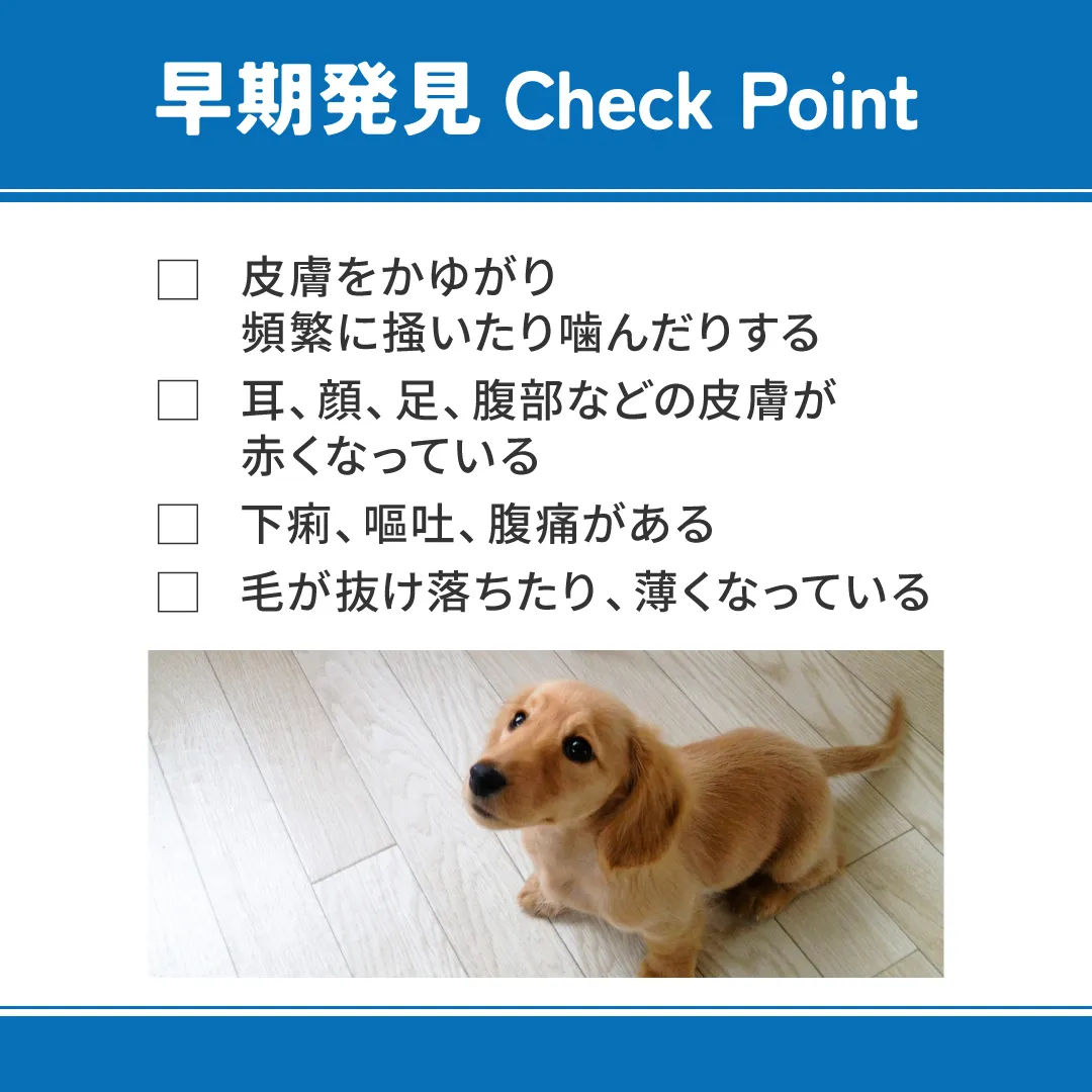 ベッツウェル 犬用食事療法食 食物アレルギーケア フィッシュ＆ポテト