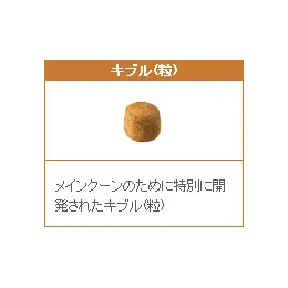 ロイヤルカナン メインクーン