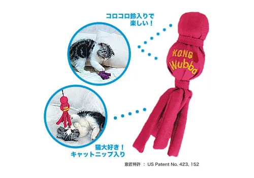 テトラ コングキャットウァバ バニー