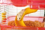 マルカン 2階でくるくる