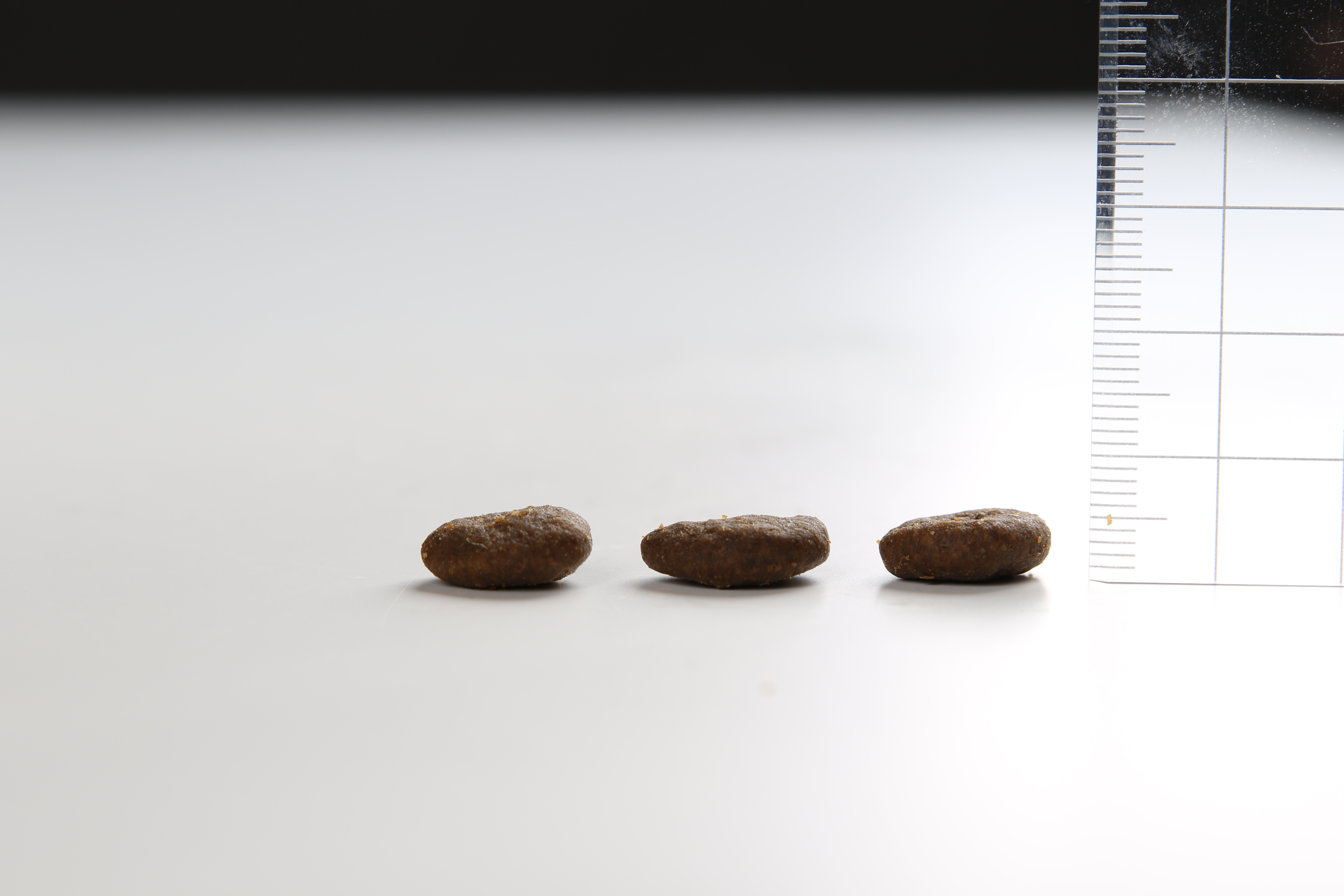 オリジン アダルトラージブリード | UGペット.com