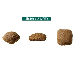 ロイヤルカナン ゴールデンレトリバー 成犬・高齢犬用