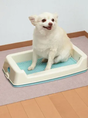 サンコー おくだけ吸着 ペット用トイレ下敷きマット 60×90cm
