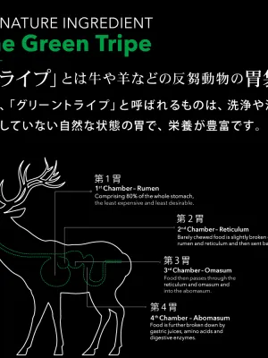 ニュートライプ ワイルドカット フリーズドライ ビーフwithグリーントライプ 15g