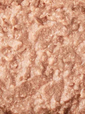 プリモデビィ グレインフリー 成犬用 チキン 95g