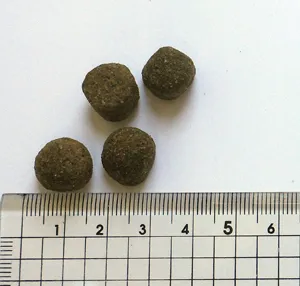 ブラックウッド 1000 チキン 全犬種 成犬期-老齢期