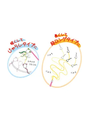 ペッツルート まゆおどり