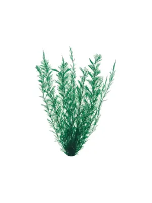 GEX 金魚水景 天然おつまみ草 大