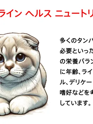 ロイヤルカナン キトン
