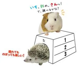 SANKO とびばこハウス