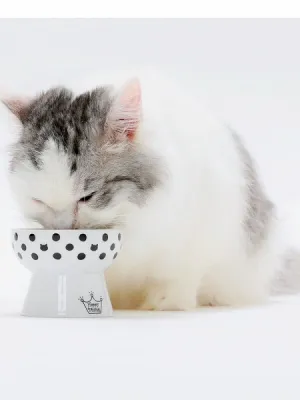 猫壱 ハッピー おやつ皿