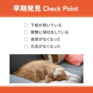 ベッツウェル 猫用食事療法食 消化器ケア 可溶性繊維