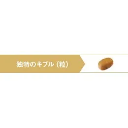 ロイヤルカナン マルチーズ 成犬・高齢犬用