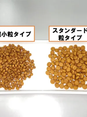 プロフェッショナル・バランス 1歳まで 子いぬ用 1kg(500g×2)