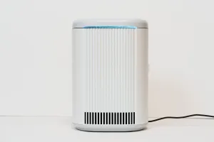 脱臭除菌装置 ブルーデオ