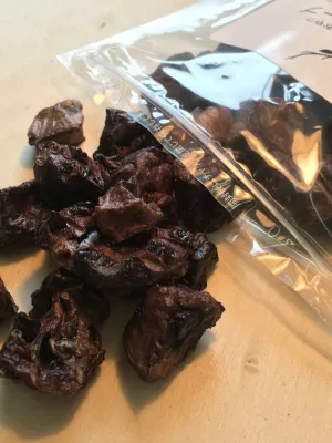UGペット 純国産 無添加犬猫用おやつ 鹿ラングキューブ 35g