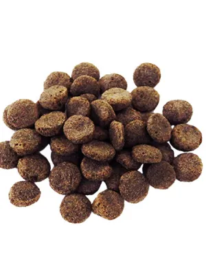 プロデン デンタルバイツ 猫用 60g