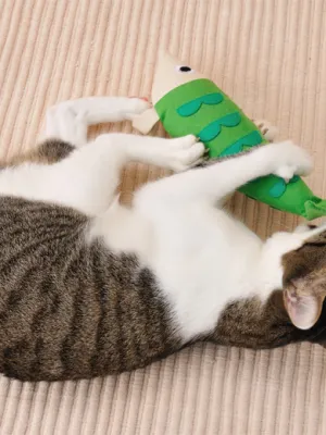 ペティオ けりぐるみ サカナ