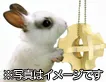 マルカン かじり木ボール