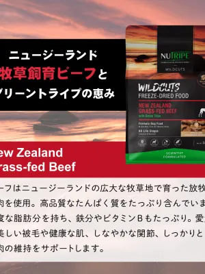 ニュートライプ ワイルドカット フリーズドライ ビーフwithグリーントライプ 15g