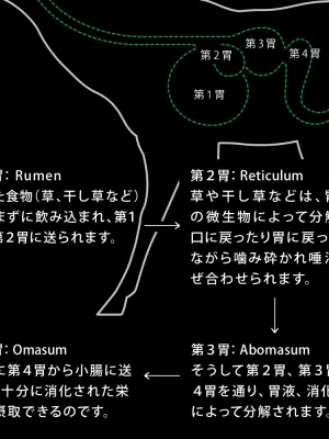 ニュートライプ ナチュラル エアードライ ラムwithグリーントライプ トリーツ 100g