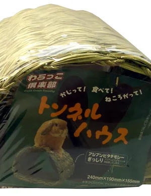 わらっこ倶楽部 トンネルハウス