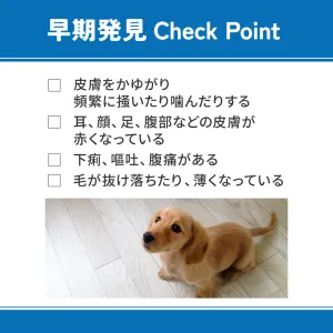 ベッツウェル 犬用食事療法食 食物アレルギーケア フィッシュ＆ポテト