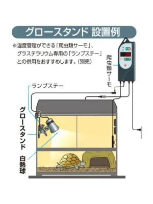 GEX グロースタンド