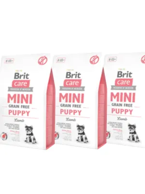 Brit ケア ミニ グレインフリー パピー ラム
