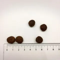 Brit ケア ラム&ライス アダルト M