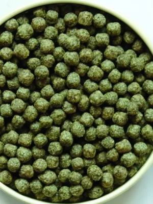 コメット カメのごはん 水の汚れをおさえる! 嫌なニオイを減らす! 納豆菌配合 40g