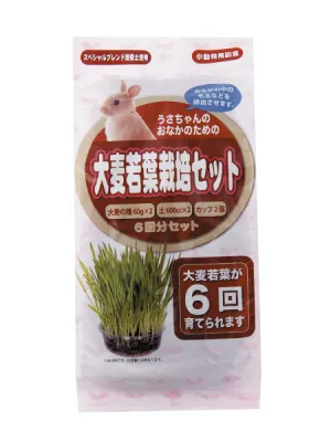商品 アラタ うさちゃん用大麦若葉栽培セット 画像