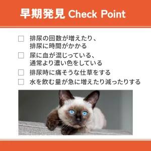 ベッツウェル 猫用食事療法食 下部尿路ケア 低脂肪