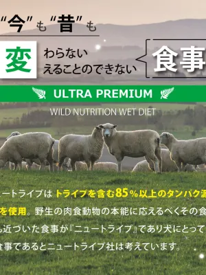 ニュートライプ ピュア グリーントライプ